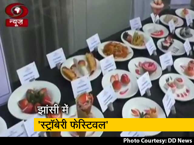 'मन की बात' में PM मोदी ने किया 'स्ट्रॉबेरी फेस्टिवल' का जिक्र