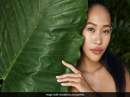 Vegan Skin Care And Makeup Tips: How To Give Your Beauty Routine A Vegan-Friendly Spin Vegan Skin Care And Makeup Tips: How To Give Your Beauty Routine A Vegan-Friendly Spin