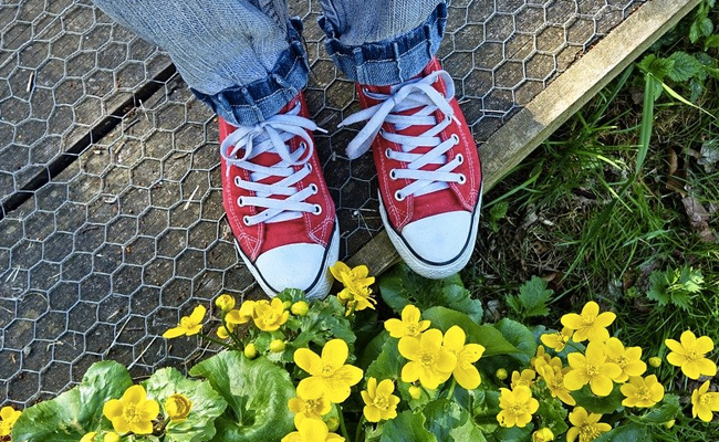 Give Your Sneakers A Cool New Look With These Spunky Laces