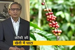 रवीश कुमार का प्राइम टाइम : कॉफी की खेती में बढ़ती मुश्किलें, किसानों को मिल रहे हैं कम दाम रवीश कुमार का प्राइम टाइम : कॉफी की खेती में बढ़ती मुश्किलें, किसानों को मिल रहे हैं कम दाम