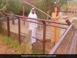 Urvashi Rautela ने मगरमच्छ को इस तरह खिलाया खाना, Video पोस्ट कर बोलीं- इनसे दूर रहना... Urvashi Rautela ने मगरमच्छ को इस तरह खिलाया खाना, Video पोस्ट कर बोलीं- इनसे दूर रहना...