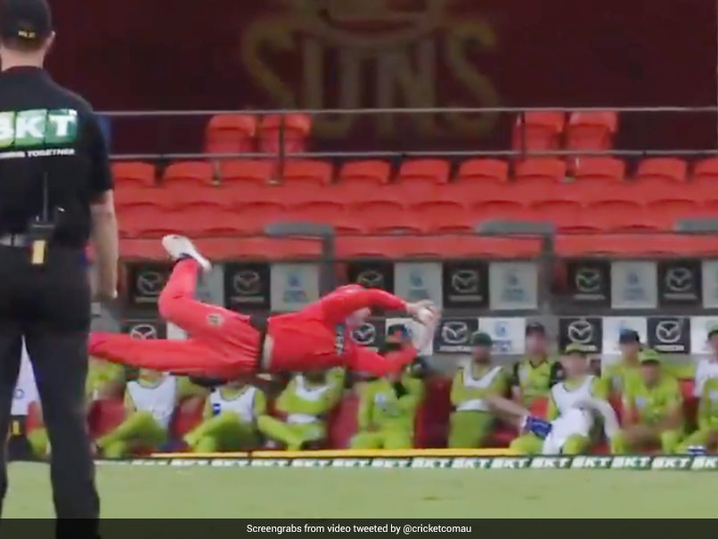 "Catch Of The Tournament?": Australian Youngster Pulls Off Jaw-Dropping Grab To Dismiss Alex Hales. Watch