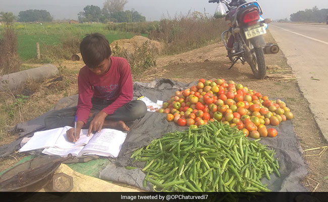 सब्जी बेचते हुए पढ़ाई कर रहा था बच्चा, IAS बोला- हो कहीं भी आग, लेकिन जलनी चाहिए...