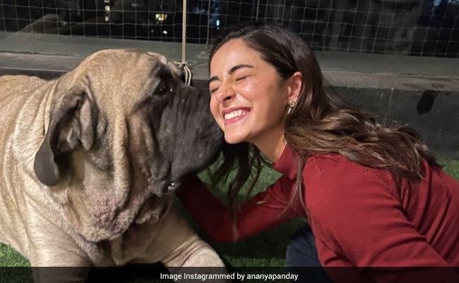 When Alia Bhatt Clicked This Stunning Pic Of Ananya Panday