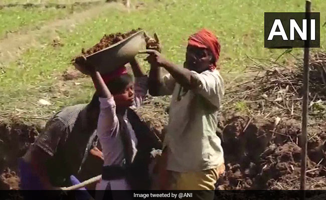 Engineering Student In Odisha Turns Daily Wage Labourer To Fund Studies