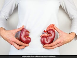 सेहत का सवाल: किडनी को हेल्दी रखने के लिए कौन से घरेलू उपाय कारगर हैं? सेहत का सवाल: किडनी को हेल्दी रखने के लिए कौन से घरेलू उपाय कारगर हैं?
