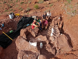 New Patagonian Dinosaur May Be Largest Yet: Scientists New Patagonian Dinosaur May Be Largest Yet: Scientists