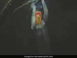उत्तराखंड आपदा: सुरंग से रेस्क्यू किए गए लोगों ने सुनाई आपबीती, कहा- भगवान का शुक्र है हमने... उत्तराखंड आपदा: सुरंग से रेस्क्यू किए गए लोगों ने सुनाई आपबीती, कहा- भगवान का शुक्र है हमने...