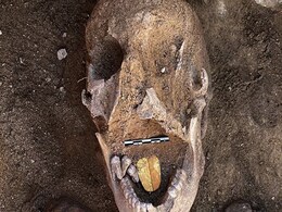 Golden-Tongued Mummies Discovered Near Egypt's Alexandria Golden-Tongued Mummies Discovered Near Egypt's Alexandria