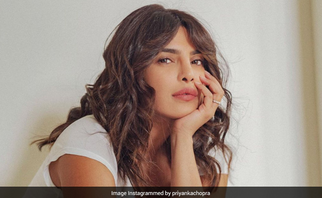 Priyanka Chopra's Epic Reply To Twitter User Who Questioned Her Choice Of Outfit