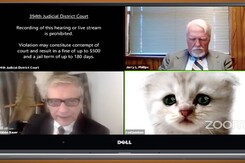 Zoom Cat Filter: How to Enable or Disable Viral Face Filters on Zoom Zoom Cat Filter: How to Enable or Disable Viral Face Filters on Zoom