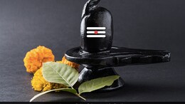 Sawan Shivratri 2022: 5 Foods You Can Include In Your Shivratri Vrat