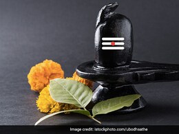 Sawan Shivratri 2022: 5 Foods You Can Include In Your Shivratri Vrat Sawan Shivratri 2022: 5 Foods You Can Include In Your Shivratri Vrat
