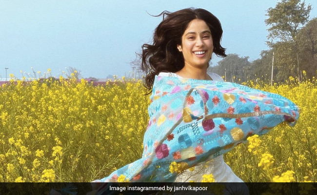 Janhvi Kapoor Gives Off Major DDLJ Vibes In Sarson Ka Khet Pics ...