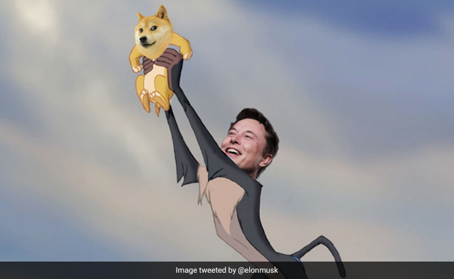 Dogecoin Sees Brief Rally After Elon Musk Tweets 'Baby Doge'