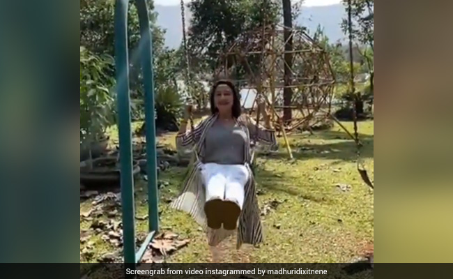 Madhuri Dixit स्लो मोशन में यूं झूला झूलती आईं नजर, धक-धक गर्ल का Video हुआ वायरल