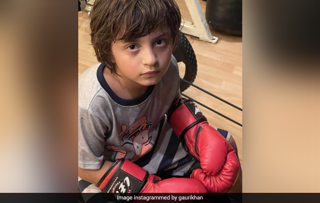 अबराम खान ने पहने बॉक्सिंग ग्लव्स तो मम्मी गौरी खान ने शेयर कर दी Photo, बोलीं- मेरा माइक टायसन