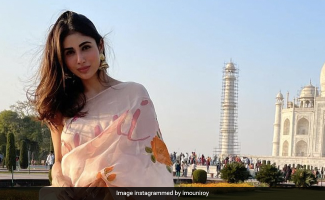 Slurp Alert: TV Actor Mouni Roy Binges On Veg Momos (See Pic)