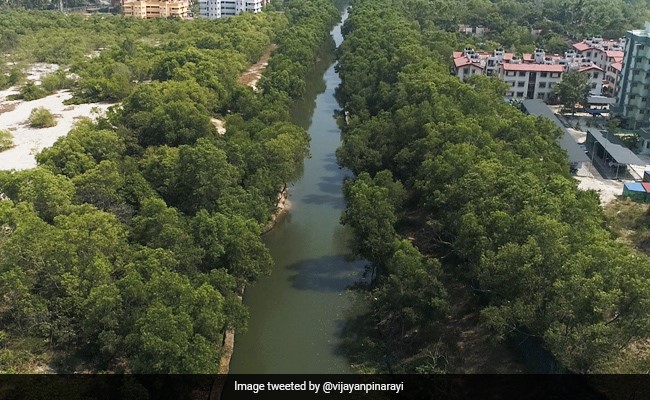 Kerala Chief Minister Launches First Phase Of 520 Km-Long Waterway
