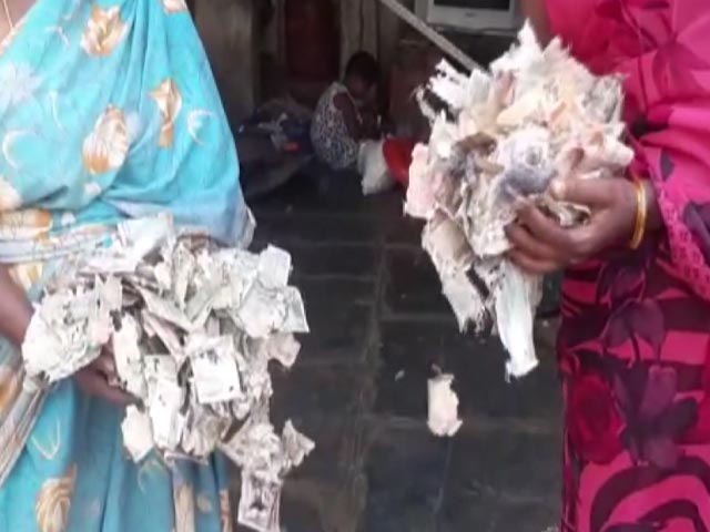 Bank Notes Worth Rs 3 Lakh Destroyed By Termites In Andhra