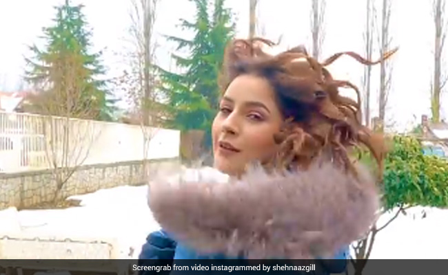 शहनाज गिल ने बर्फ की वादियों में दिखाया रोमांटिक अंदाज, Video ने जीता फैन्स का दिल