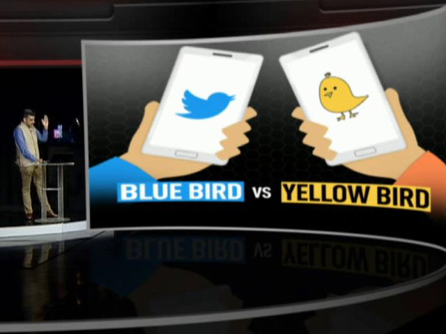 Blue Bird vs Yellow Bird