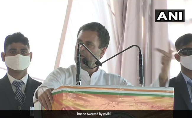 Rahul Gandhi To Address Farmers At Tractor Rallies In Rajasthan's Ajmer