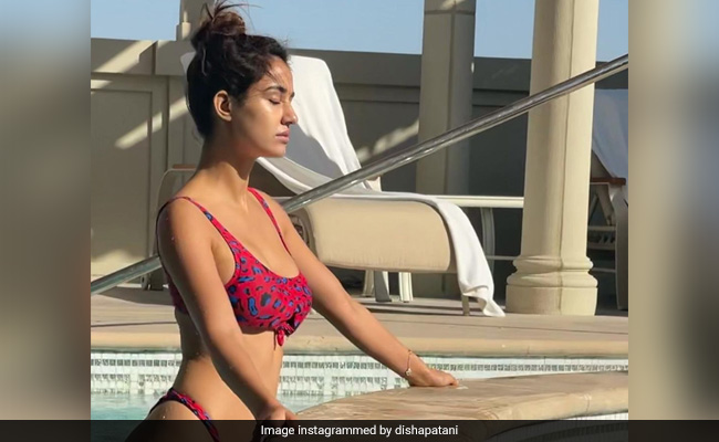 Can't Take Our Eyes Off Disha Patani In This Stunning Pic