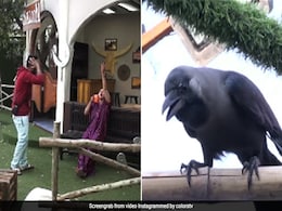Bigg Boss 14: राखी सावंत ने छेड़े सुर तो कौवे लगे चिल्लाने, जान ने भी बंद कर लिए कान- देखें Video Bigg Boss 14: राखी सावंत ने छेड़े सुर तो कौवे लगे चिल्लाने, जान ने भी बंद कर लिए कान- देखें Video
