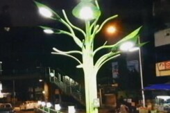 Solar Trees Powering The Maximum City Solar Trees Powering The Maximum City
