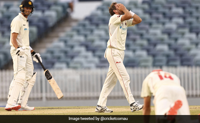 Sheffield Shield: नंबर 11 पर बल्लेबाजी करने वाले बल्लेबाज ने आखिरी गेंद पर मैच को कराया ड्रॉ, देखकर हर कोई हैरान..देखें Video