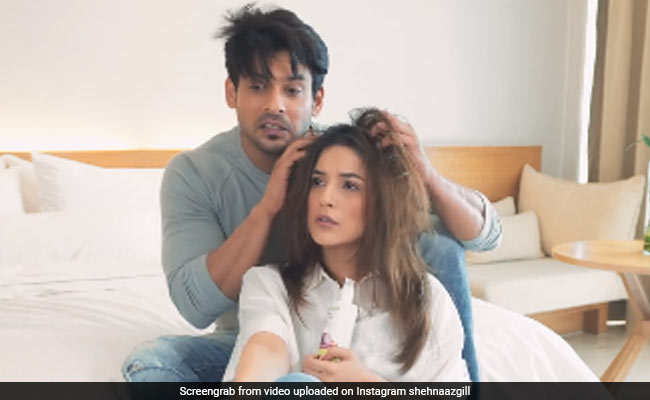 शहनाज गिल की हेड मसाज करते दिखे सिद्धार्थ शुक्ला, बोले- दोस्ती का अच्छा फायदा उठा रही है...देखें Video