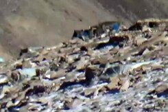 Indian Army Releases Video Of Chinese Disengagement Indian Army Releases Video Of Chinese Disengagement