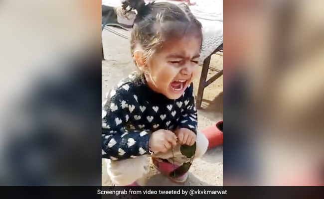 बिलख-बिलखकर रोती हुई बच्ची बोली- मुझे पति के पास जाना है - मां ने दिया ऐसा रिएक्शन - देखें मजेदार Video