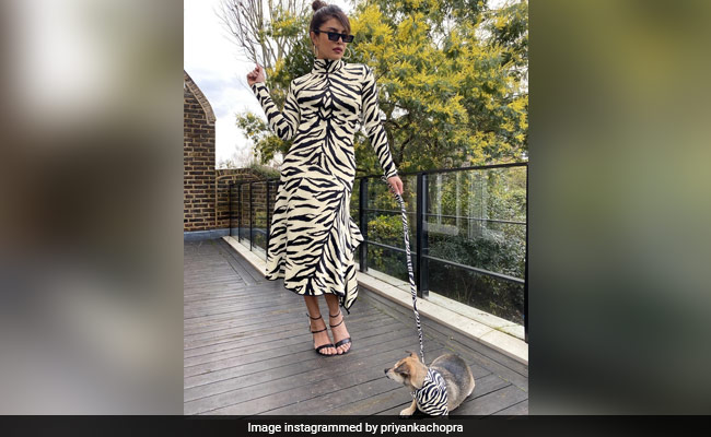 Priyanka Chopra And Adorable Pooch Diana In Next-Level White Tiger Twinning Pic