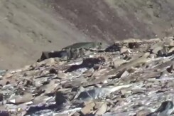 In New Ladakh Videos, Chinese Troops Remove Tents, Walk To Waiting Trucks In New Ladakh Videos, Chinese Troops Remove Tents, Walk To Waiting Trucks