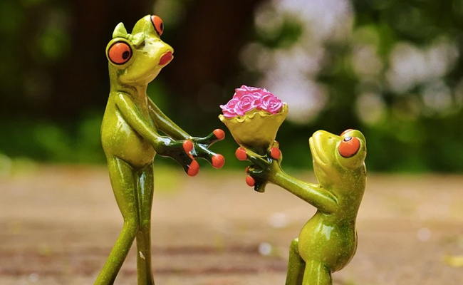 Propose Day 2021: Quotes, Cards, SMS And Wallpapers To Share