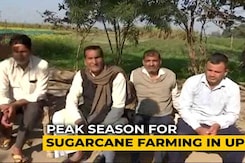 No <i>Chakka</i> Jam In Delhi, UP And Uttarakhand, Sugarcane Farmers Highlight Key Issues No <i>Chakka</i> Jam In Delhi, UP And Uttarakhand, Sugarcane Farmers Highlight Key Issues