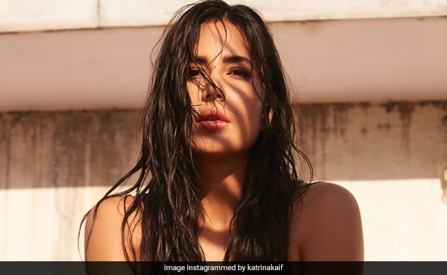 <I>Phone Bhoot</i>: "Come Work Out With The Boys," Siddhant Chaturvedi Told Katrina Kaif. Her Reaction