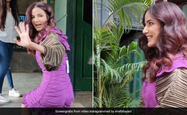 जैस्मिन भसीन ने पहनी नई ड्रेस, भूल गईं प्राइस टैग उतारना- Video हुआ वायरल