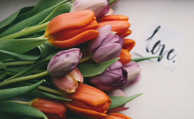 Valentine's Day 2021: A Dozen Valentine's Day Cards And Wishes To Share