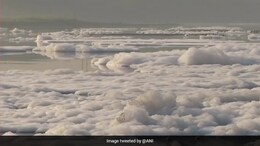 Delhi To Face Water Shortage Due To High Ammonia Content In Yamuna