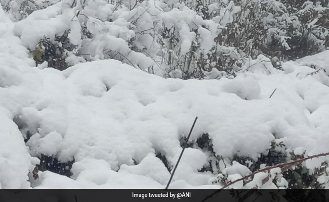 In Pics: Whiteout In Himachal Pradesh, Uttarakhand, Jammu And Kashmir