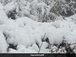 Weather Report: हिमाचल-उत्तराखंड, J&K में बर्फबारी; दिल्ली और UP में बारिश का अलर्ट Weather Report: हिमाचल-उत्तराखंड, J&K में बर्फबारी; दिल्ली और UP में बारिश का अलर्ट
