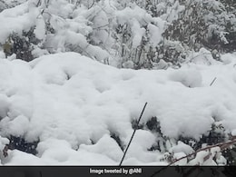 पंजाब, हरियाणा के कुछ हिस्सों में हुई बारिश तो कश्मीर में बर्फबारी से यातायात प्रभावित पंजाब, हरियाणा के कुछ हिस्सों में हुई बारिश तो कश्मीर में बर्फबारी से यातायात प्रभावित