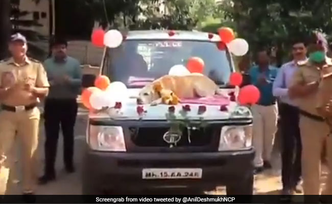 Warm Farewell For Sniffer Dog In Nashik After 11 Years Of Service. Watch