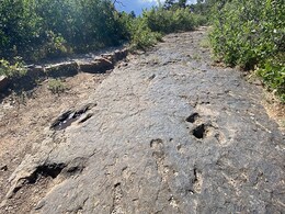 Comet From Edge Of Solar System Killed Dinosaurs: Study Comet From Edge Of Solar System Killed Dinosaurs: Study