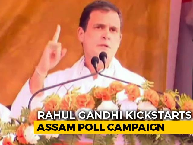 No CAA In Assam If Congress Comes To Power, Says Rahul Gandhi