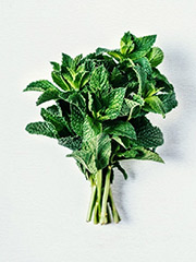Health Benefits Of Mint Leaves
