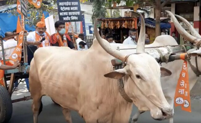 महाराष्ट्र में शिवसेना Vs BJP: भाजपा ने बिजली बिल, शिवसेना ने पेट्रोल-डीजल के बढ़ते दामों के लिए एक-दूसरे के खिलाफ मोर्चा खोला महाराष्ट्र में शिवसेना Vs BJP: भाजपा ने बिजली बिल, शिवसेना ने पेट्रोल-डीजल के बढ़ते दामों के लिए एक-दूसरे के खिलाफ मोर्चा खोला